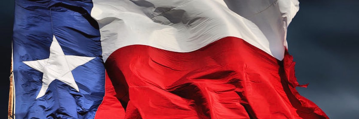 TexanCommonSense banner