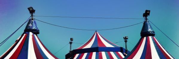 Not my circus not my monkeys 🥝 banner