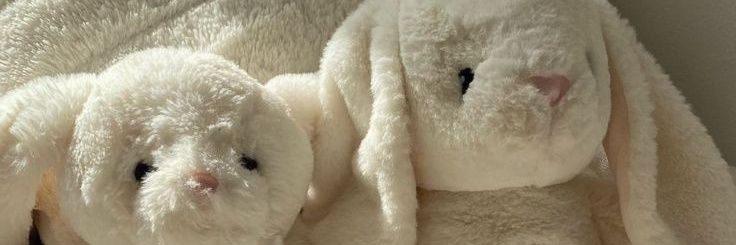 แง่วจ๋อง banner