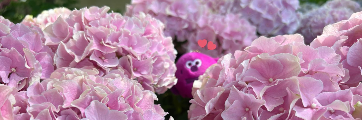 _edmrmkt_'s profile banner image