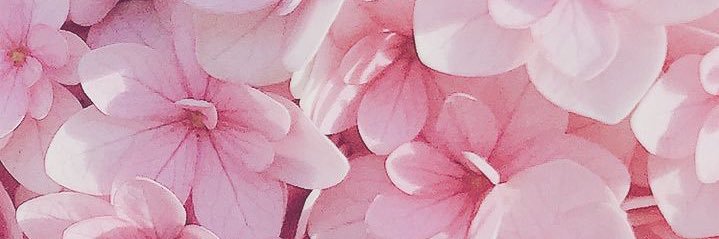 MrsVixxen😈 banner