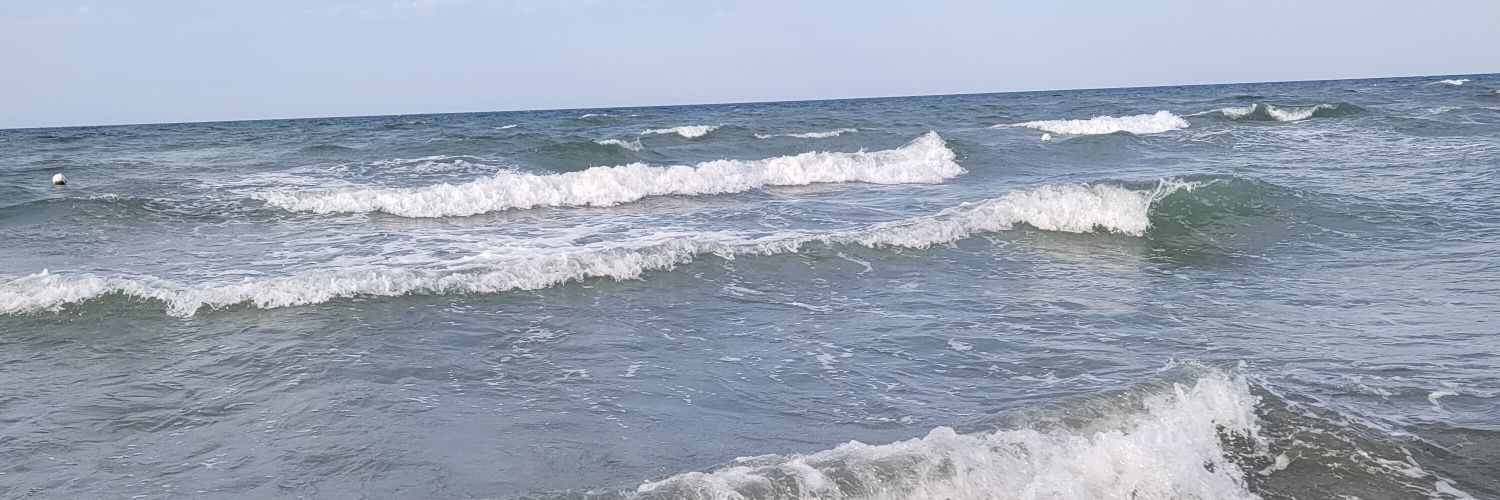 NZimovnova's profile banner image