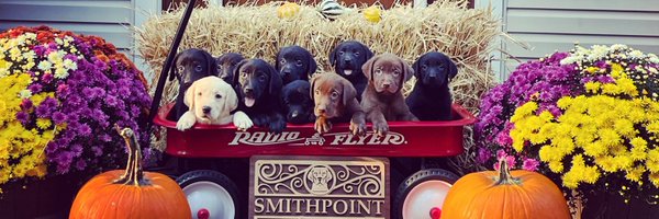 Smithpoint_Retrievers Profile Banner