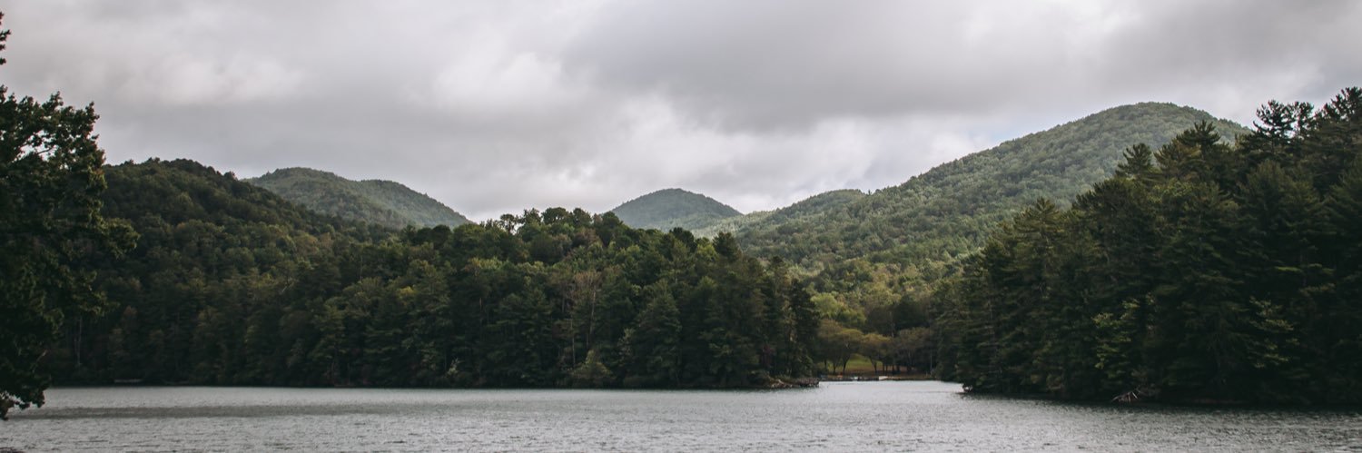 Koda + Bear + Kenai banner