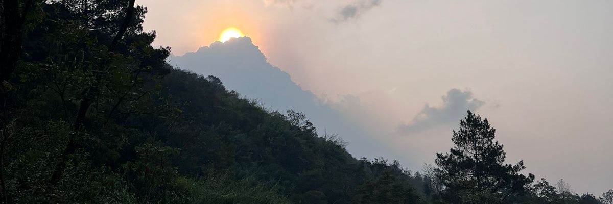 _yourtulips's profile banner image