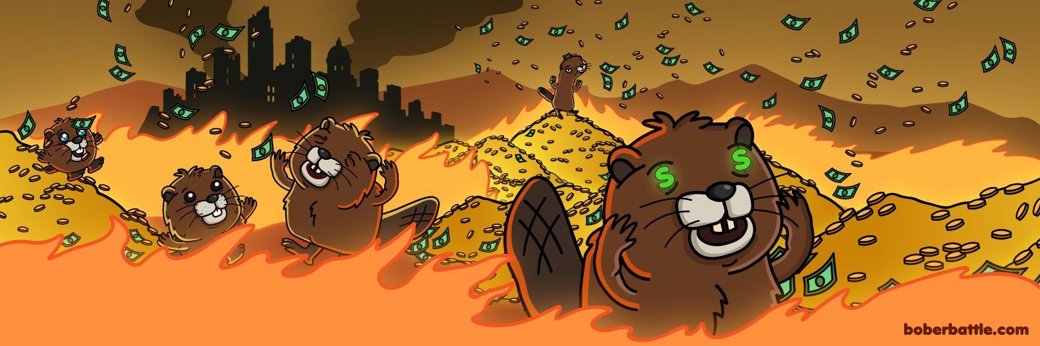 Adrian Bobercea $BOBER banner