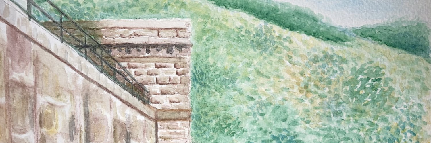 CO Cosmos Colours banner
