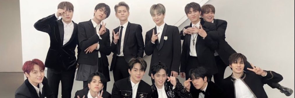 Pinkfluffyberri's profile banner image