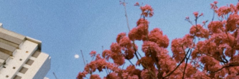 isadoraamaralg's profile banner image