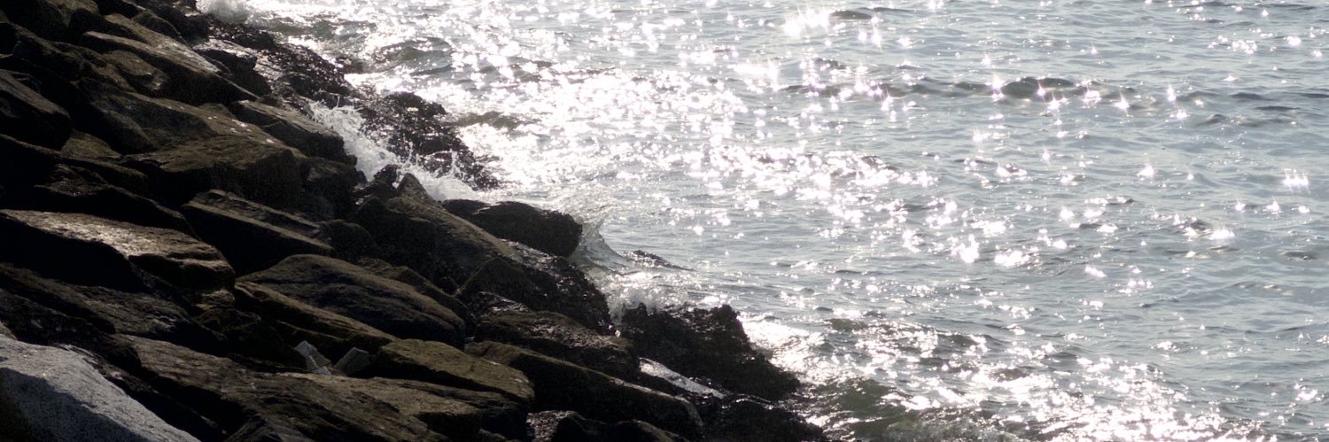 เม่กม่า banner