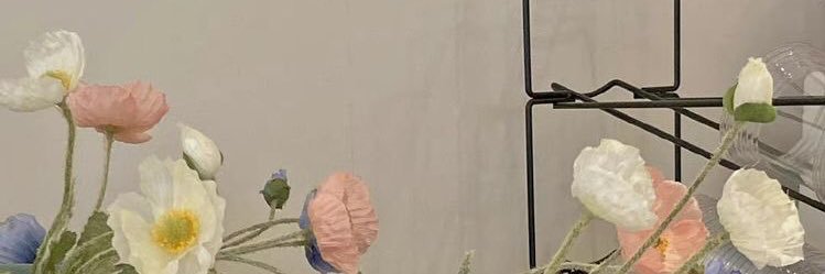 zaraa (๑˃̵ᴗ˂̵) banner
