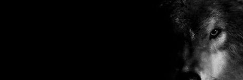 C0VERINBLACK's profile banner image