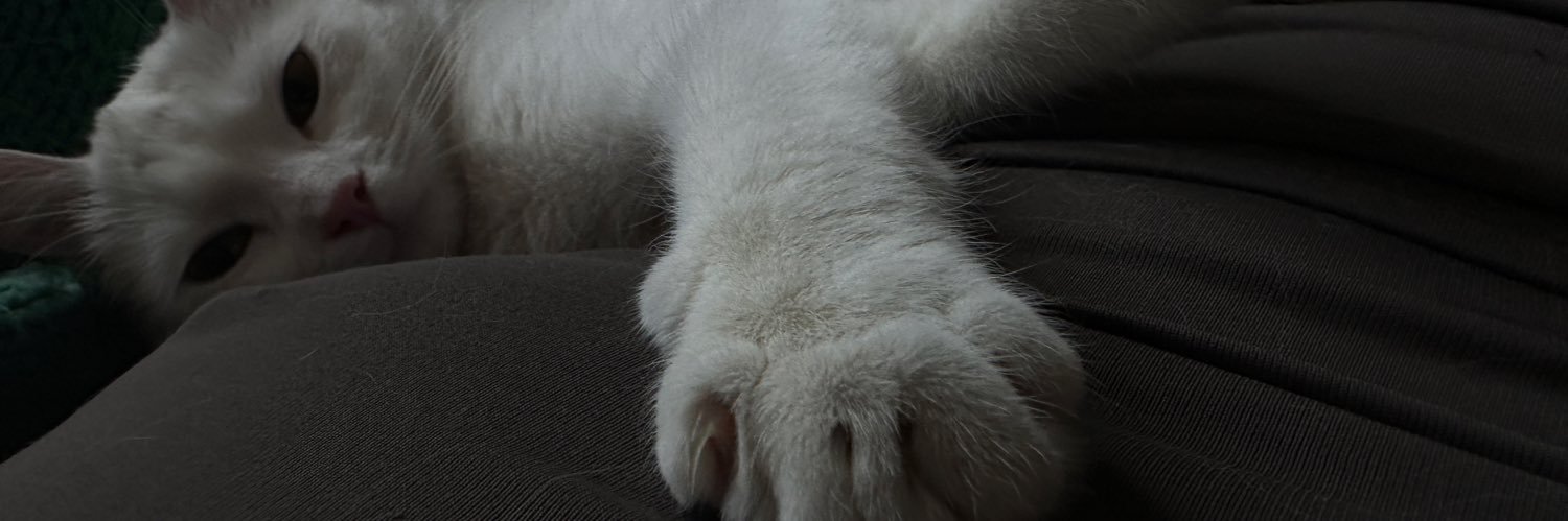 кицюк banner