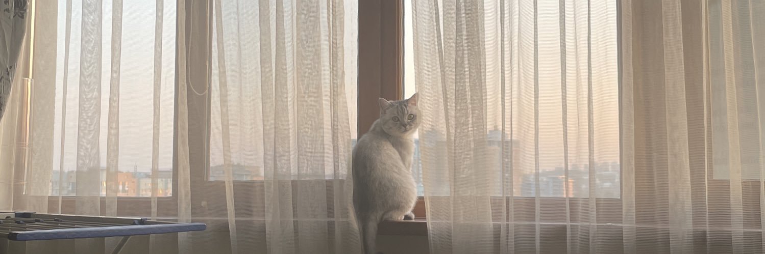 viksterovna's profile banner image