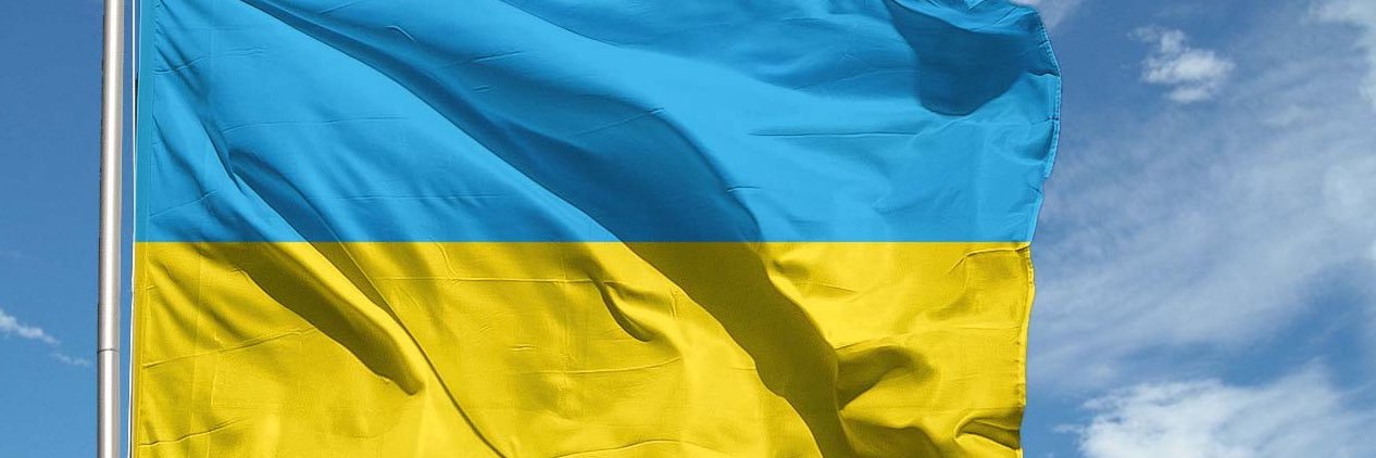 Alessandro Palermo banner