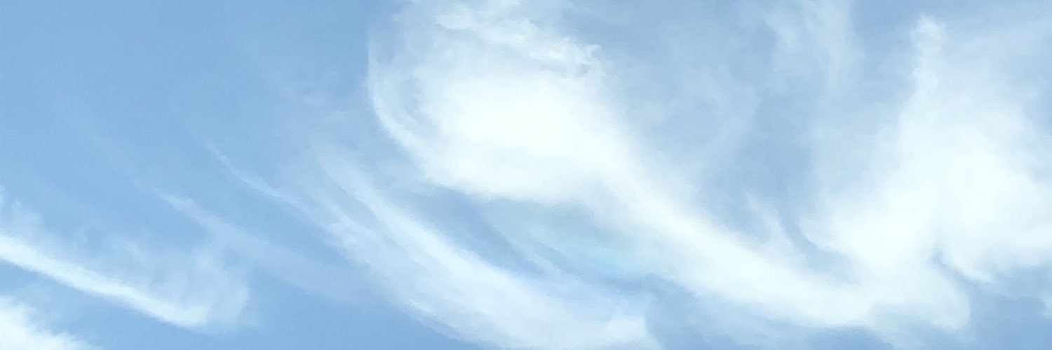 elelrun29's profile banner image
