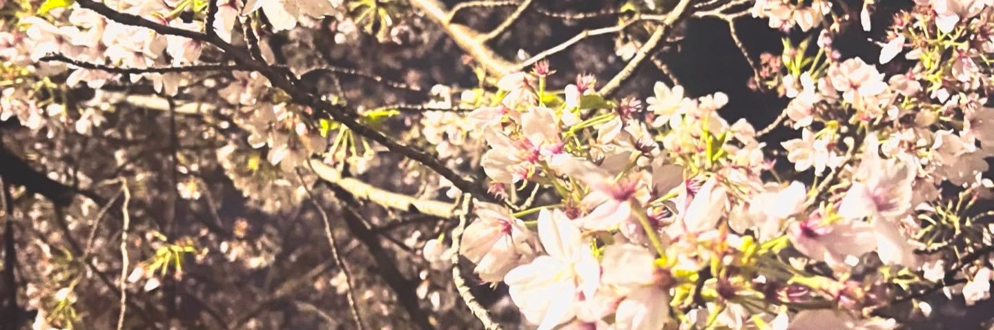 x_satuki's profile banner image