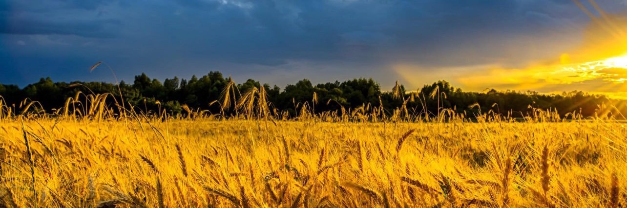 Timothy Nickler banner