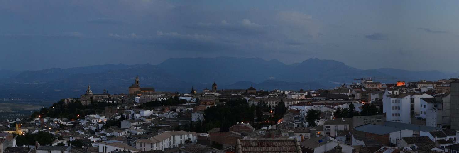 Pedro banner