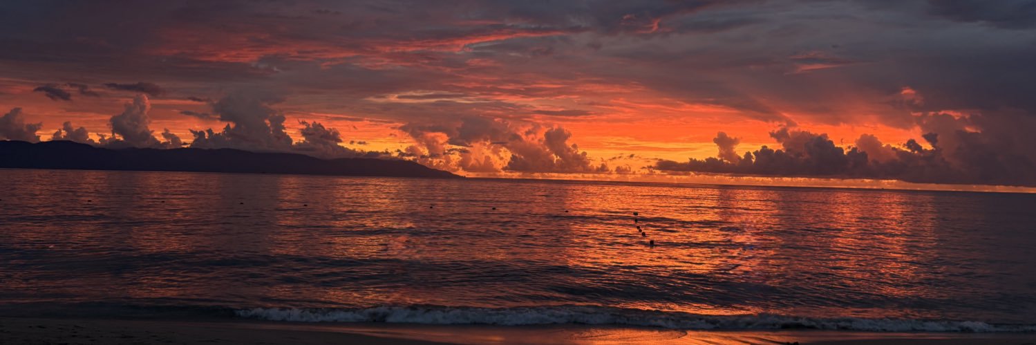 micolmar17's profile banner image