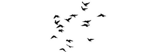 ja942013's profile banner image