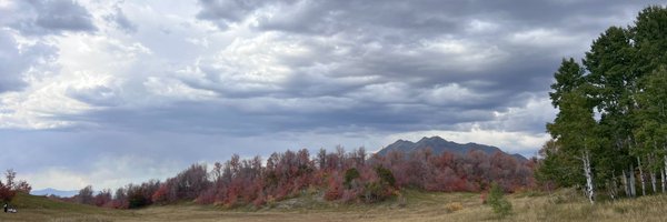 CDahle23 Profile Banner