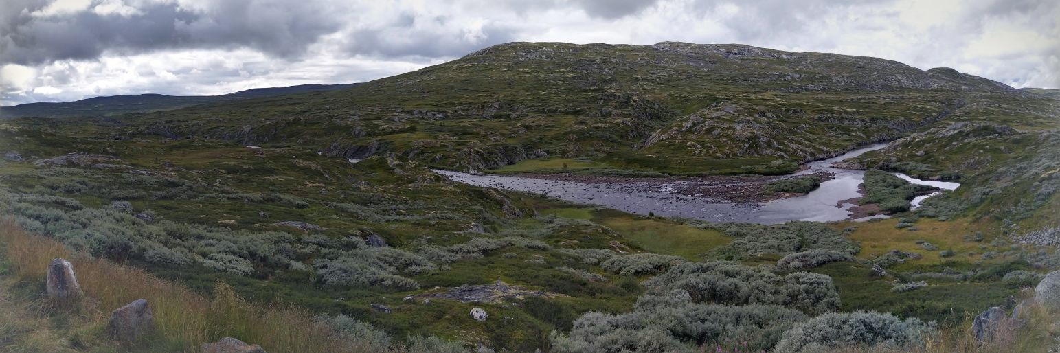 Alexandre PINAT banner