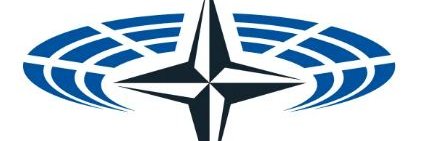xeni boy banner
