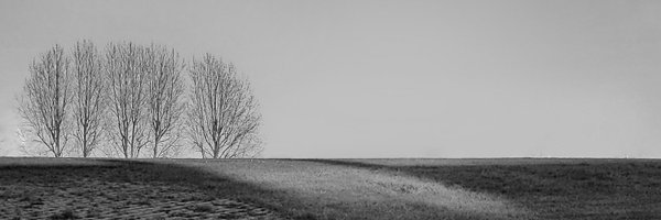 architela Profile Banner