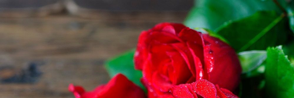 praody_'s profile banner image