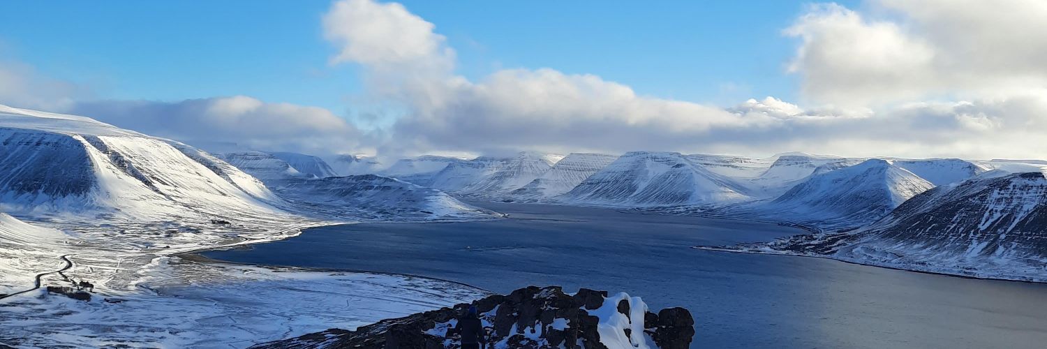 Michelle Valliant banner