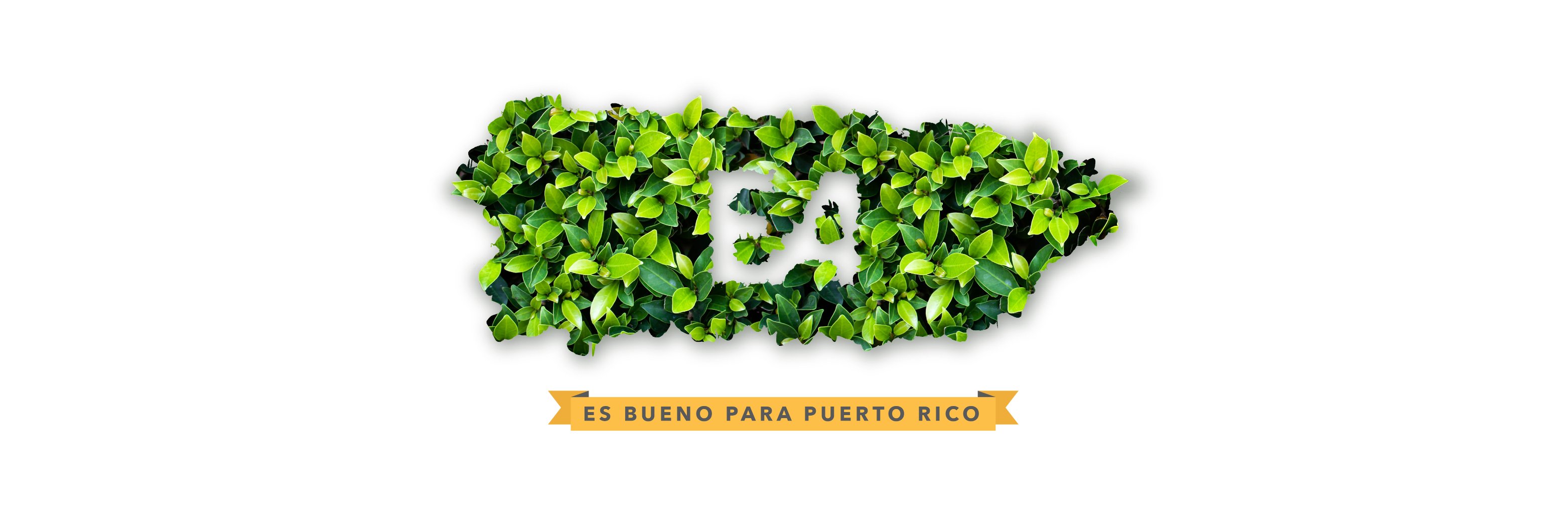 EAArecibo's profile banner image