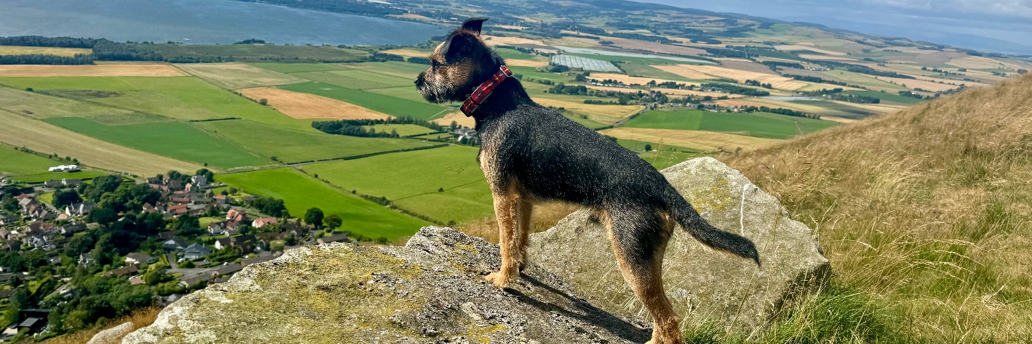 Frazer122's profile banner image