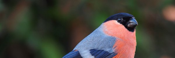 r2nyc Profile Banner