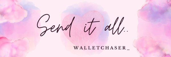 walletchaser_ Profile Banner