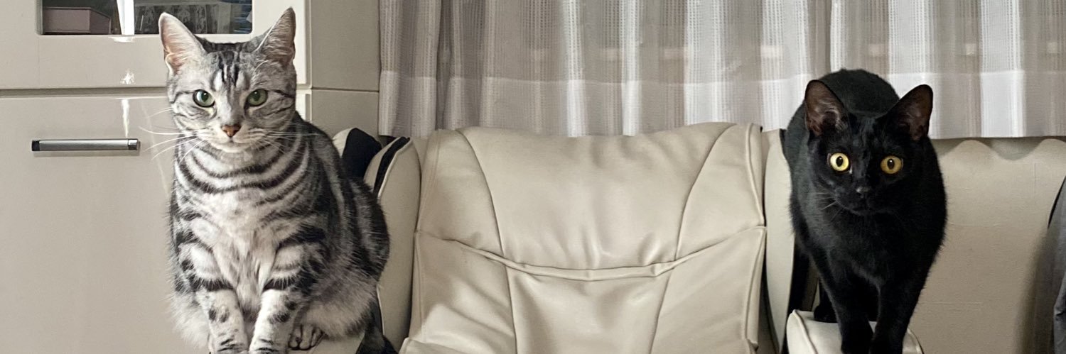 Rukia088's profile banner image