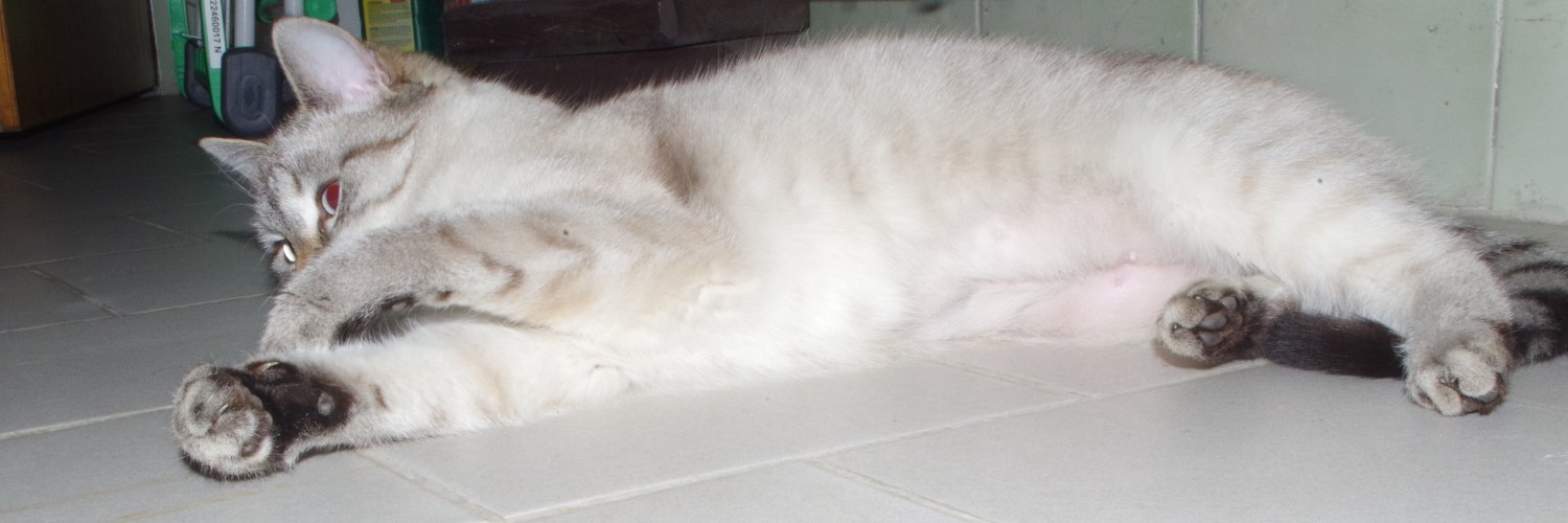 nardus & Cat banner