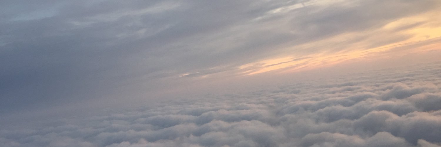 LSierralacey's profile banner image