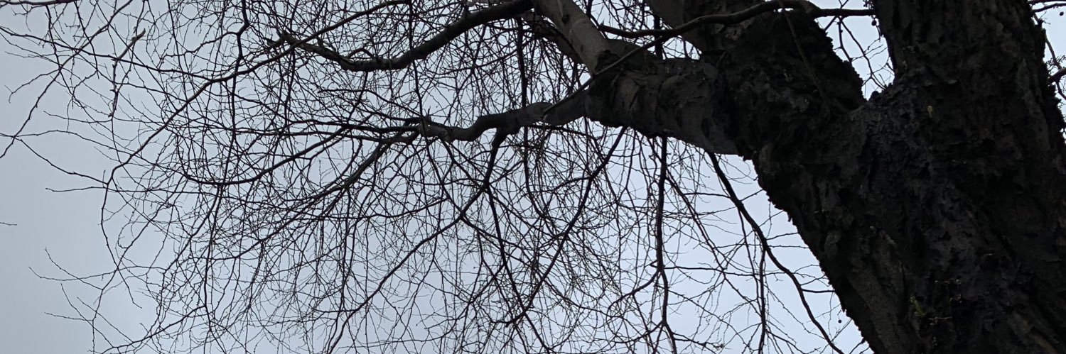 Sandro Garcia banner