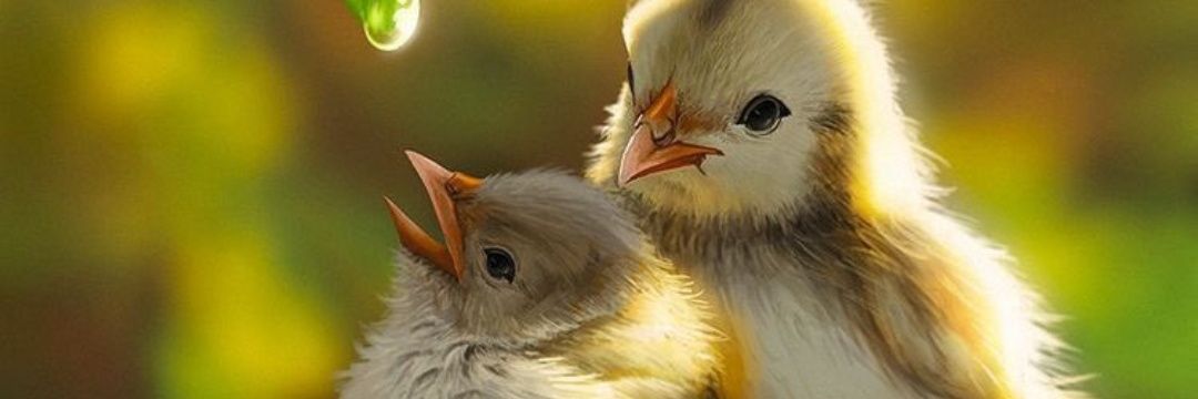 teejaymide's profile banner image