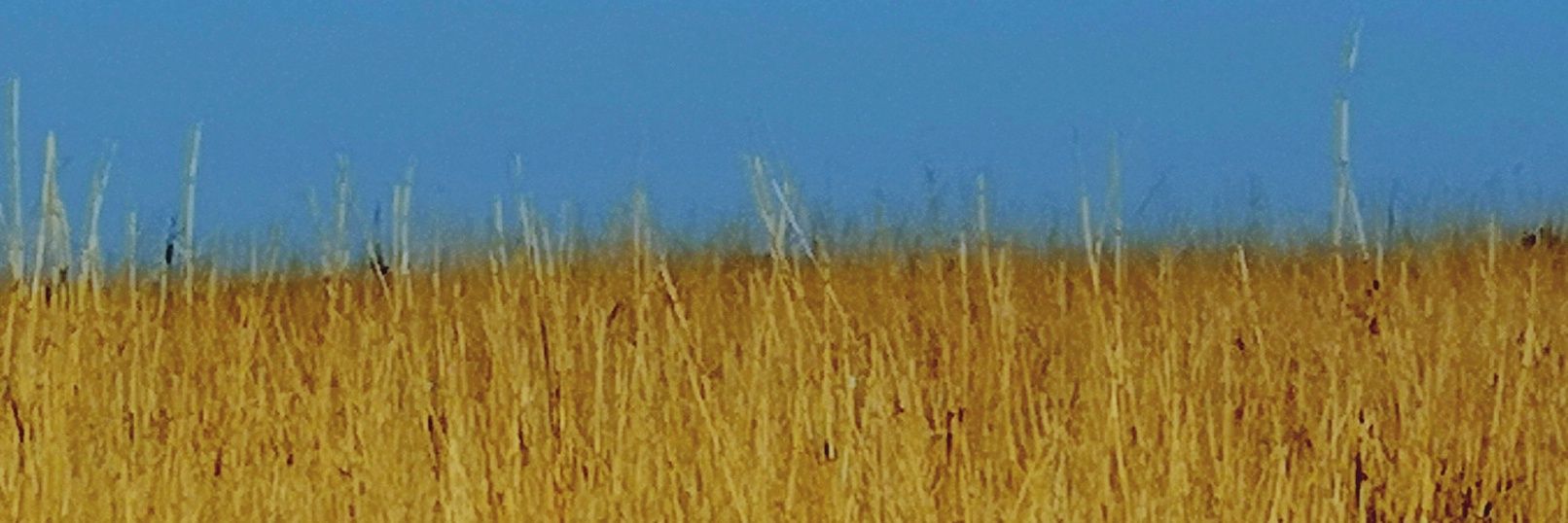 Baseni65's profile banner image
