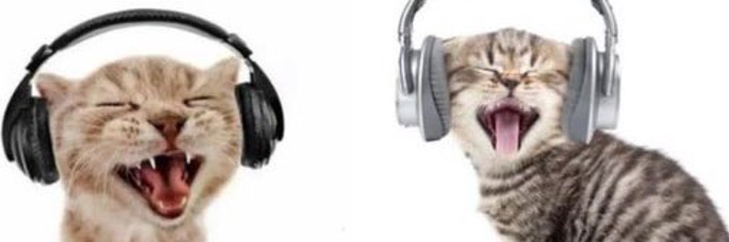 gothcorgi's profile banner image