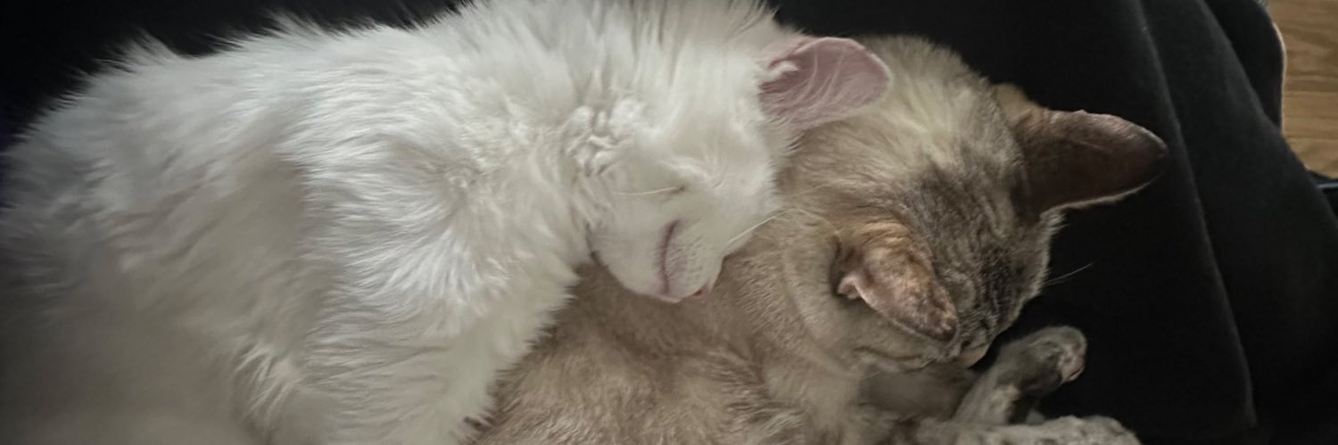 fabellans's profile banner image