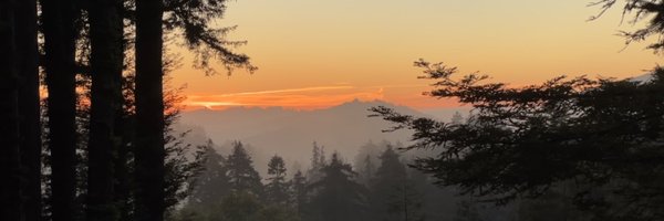 rgmarkey Profile Banner
