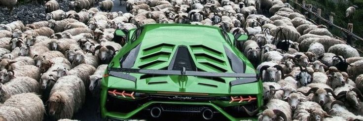 JJCrypto44's profile banner image