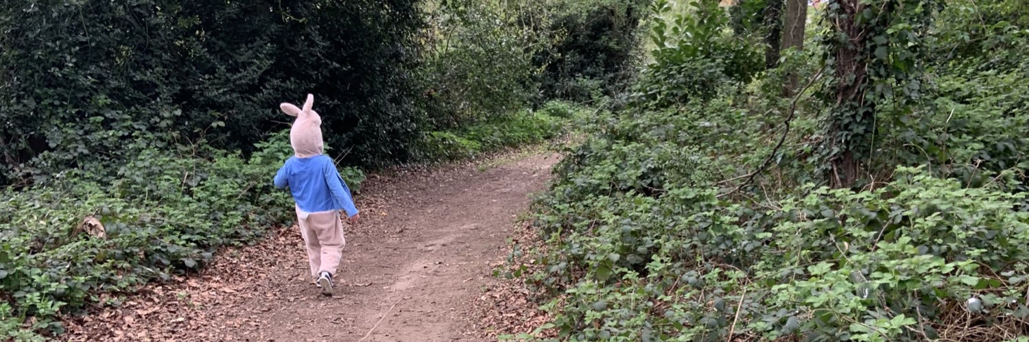 charlibull's profile banner image