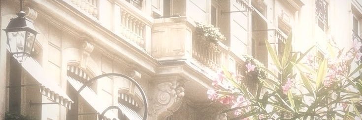 nie⁷ banner