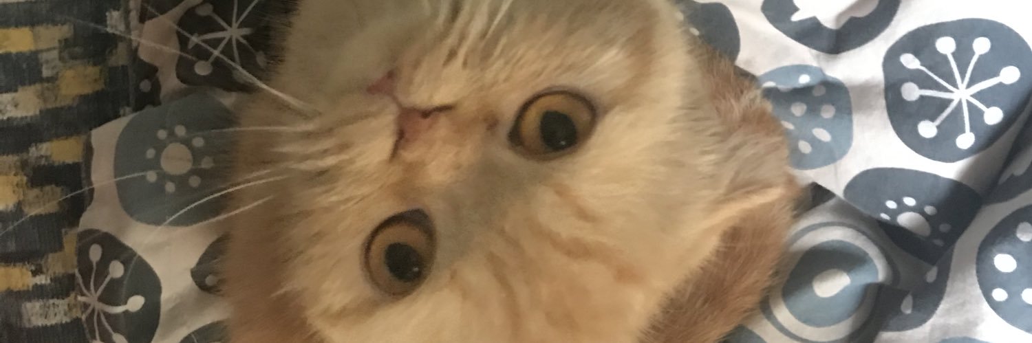 Mo Tee banner