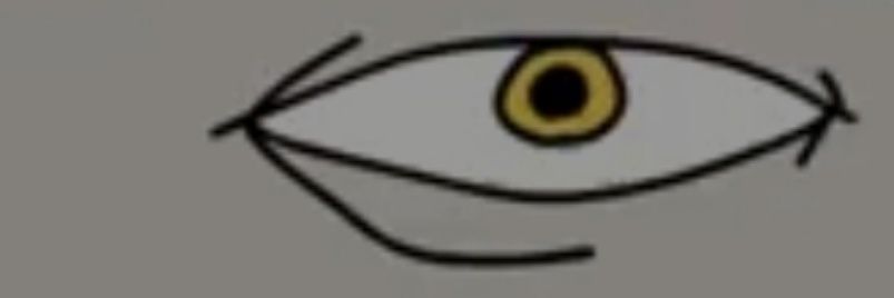 XPLODED banner