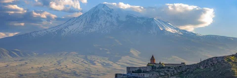 Liana Margaryan banner